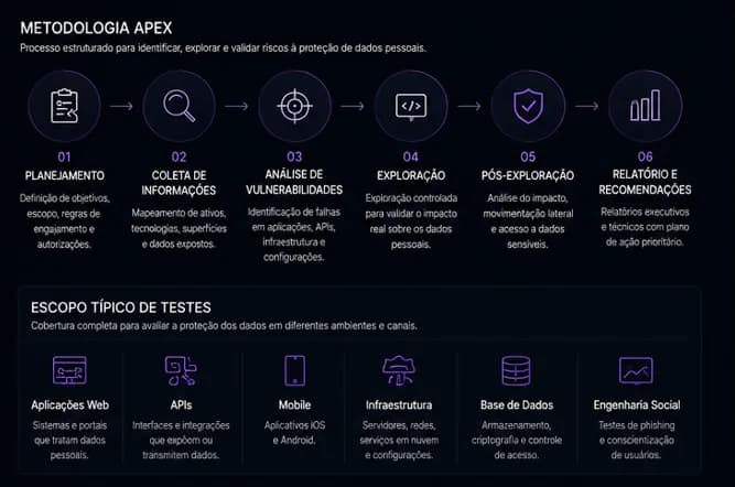 Visão ilustrativa das evidências e da entrega de Pentest e conformidade com a LGPD